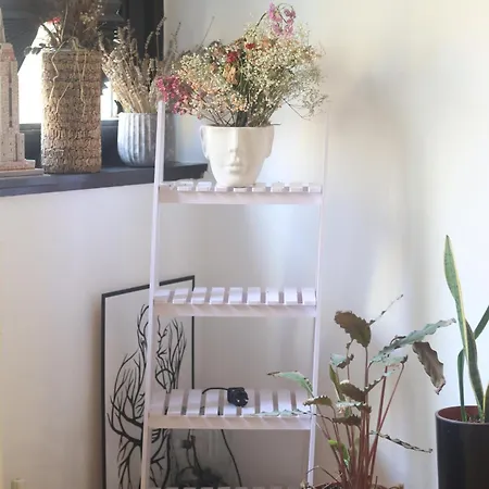 Lägenhet Stadler's Corner Sarajevo