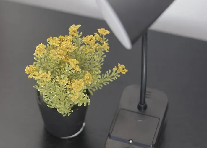 Stadler's Corner * Saraievo